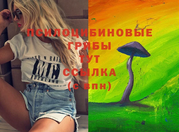 дживик Куйбышев