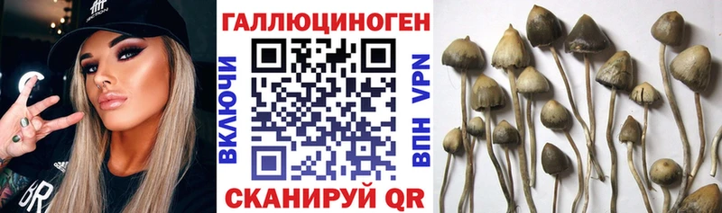 Галлюциногенные грибы ЛСД  наркотики  Купино 