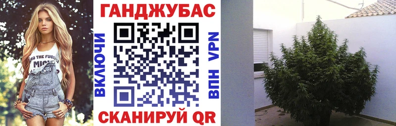 купить наркоту  Купино  Конопля MAZAR 
